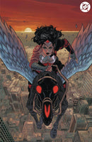 ABSOLUTE WONDER WOMAN