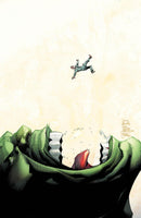HULK 1 RYAN STEGMAN VENOM 3 HOMAGE VARIANT