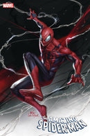 AMAZING SPIDER-MAN