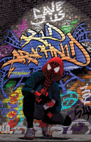 MILES MORALES 39 MIKE MAYHEW VARIANT