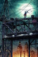 BIRDS OF PREY