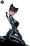 BATMAN 161 SDCC PAUL GREEN VIRGIN VARIANT