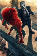 THE AMAZING SPIDER-MAN