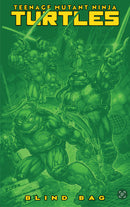 TEENAGE MUTANT NINJA TURTLES 13 BLIND BAG