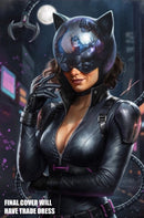 ABSOLUTE CATWOMAN 1 CARLA COHEN VARIANT
