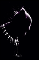 BLACK PANTHER 25 PAT GLEASON VARIANTS