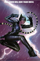 ABSOLUTE CATWOMAN 1 STJEPAN SEJIC VARIANTS