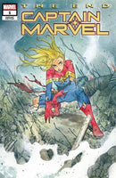 CAPTAIN MARVEL: THE END