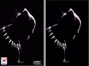 BLACK PANTHER 25 PAT GLEASON VARIANTS